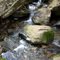 Spring Stream