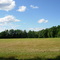 field