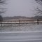 confield in winter