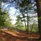 Kettletown State Park