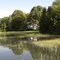 high tide on Guilford salt marsh