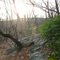 Mattabesett Trail near Chinese Wall - Apr. 7 2010