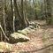 Brainard Hill Rd. trailhead - Apr. 11 2010