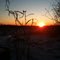 Winter Sunset
