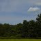 fields