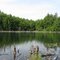 Lilly Pond - Surry, NH