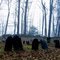 Graveyard