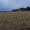 Corn Stubble & falling Farmhouse