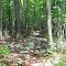 Rocky Trail View