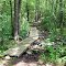 Walkway On Blue/White Trail
