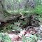 Foundation of Old Building