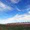 Dresser Hill Tree farm