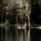 Beaverpond