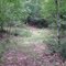 Trail View
