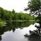 Pond View