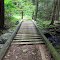 Bridge Over Brook
