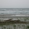 Cape May NWR Two Mile Beach Unit