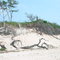 Higbees Beach Dunes
