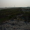 Cape May Point Light from Migratory Bird Refuge