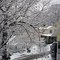 Let it snow....