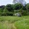Road in the Grass