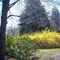 Osbourne Park