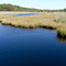 Barn Island Wildlife Management Area: Brackish tidal wetland