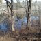 Fluke Pond