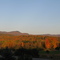 Fall Foliage in Vermont