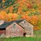 Barns in Autumn