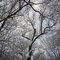 Let it snow...