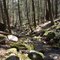 Webb Mountain