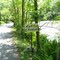 Terrapin Crossing