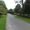 Ladder Hill Road