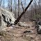 Cub Scout Trail