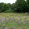 Norwichtown Cemetery