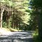 Mohegan Park Road