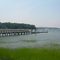 Cove Neck