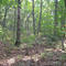West Hills County Park