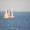 Summer Race at Duck Island