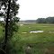 Salt Meadow National Wildlife Refuge