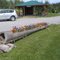 Fowers Pot at a Rest Area near Ville-Marie, Quebec