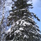 Montagne Coupée, Québec