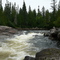 Chute Caribou