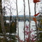 Lac Clair - St-David de Falardeau