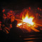 Feu de camp - Auberge du Balcon Vert