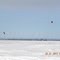 Kitesnow lac des plaines
