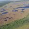 Bogs north of Havre St. Pierre