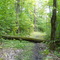 Parc des Chutes