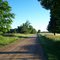 Summer Morning near Badjeros, Ontario